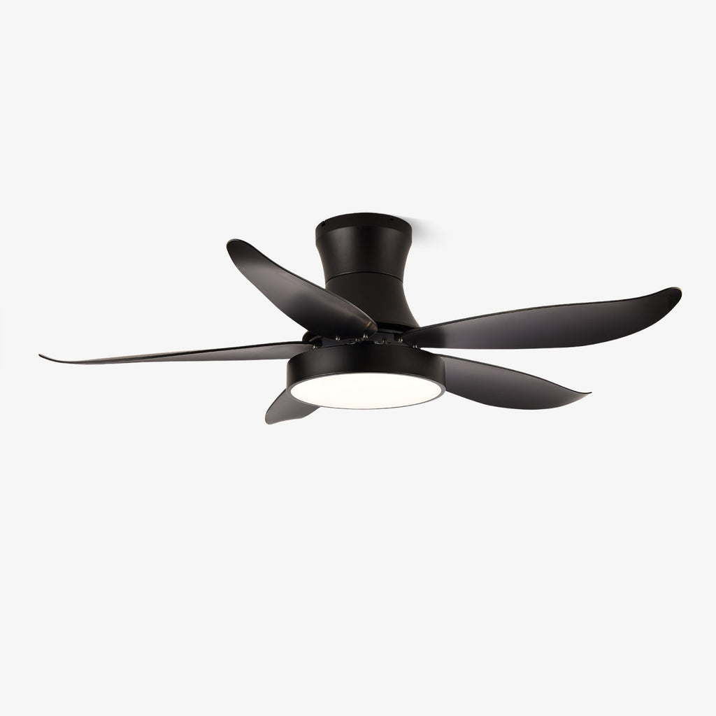 Vortex Wave Ceiling Fan Light
