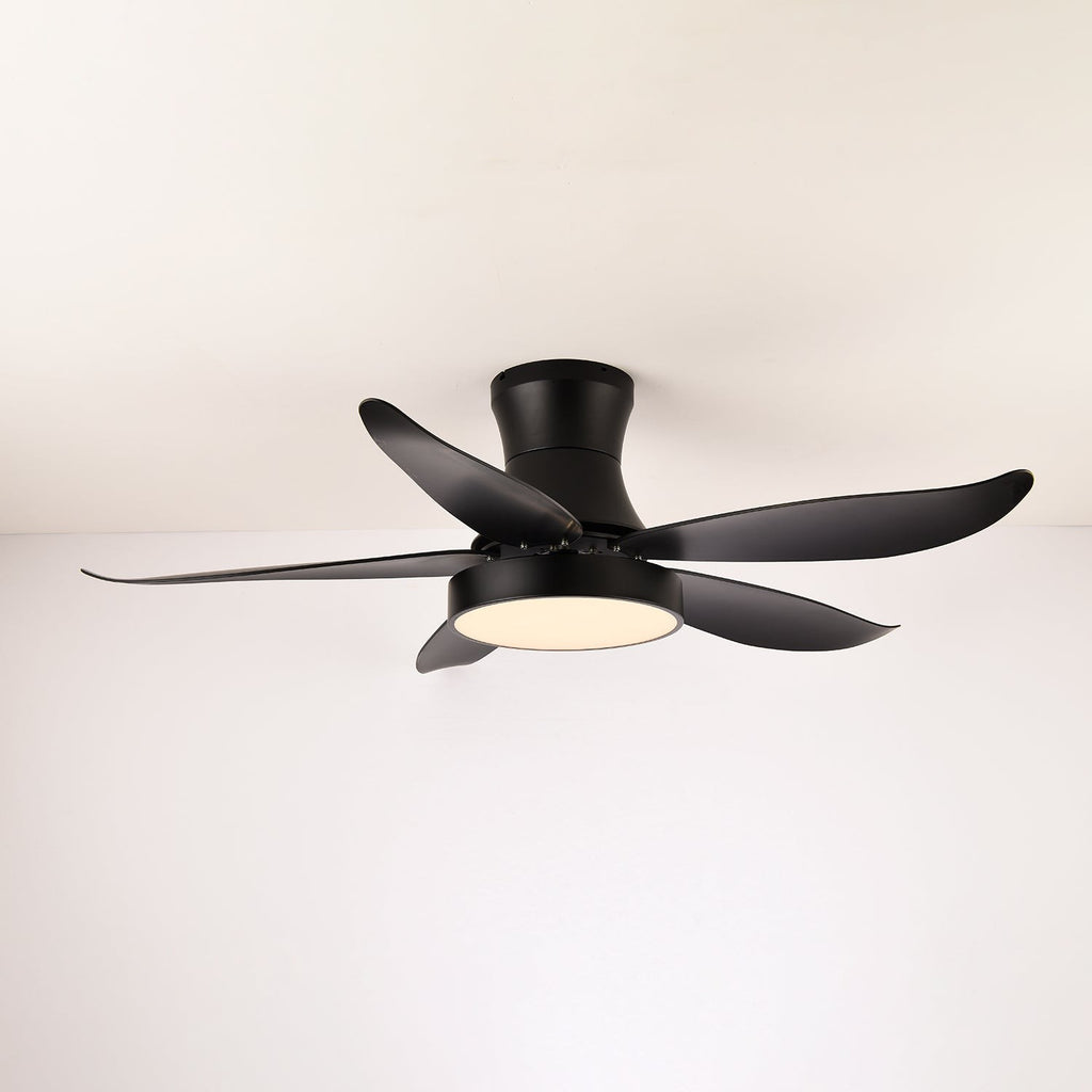 Vortex Wave Ceiling Fan Light